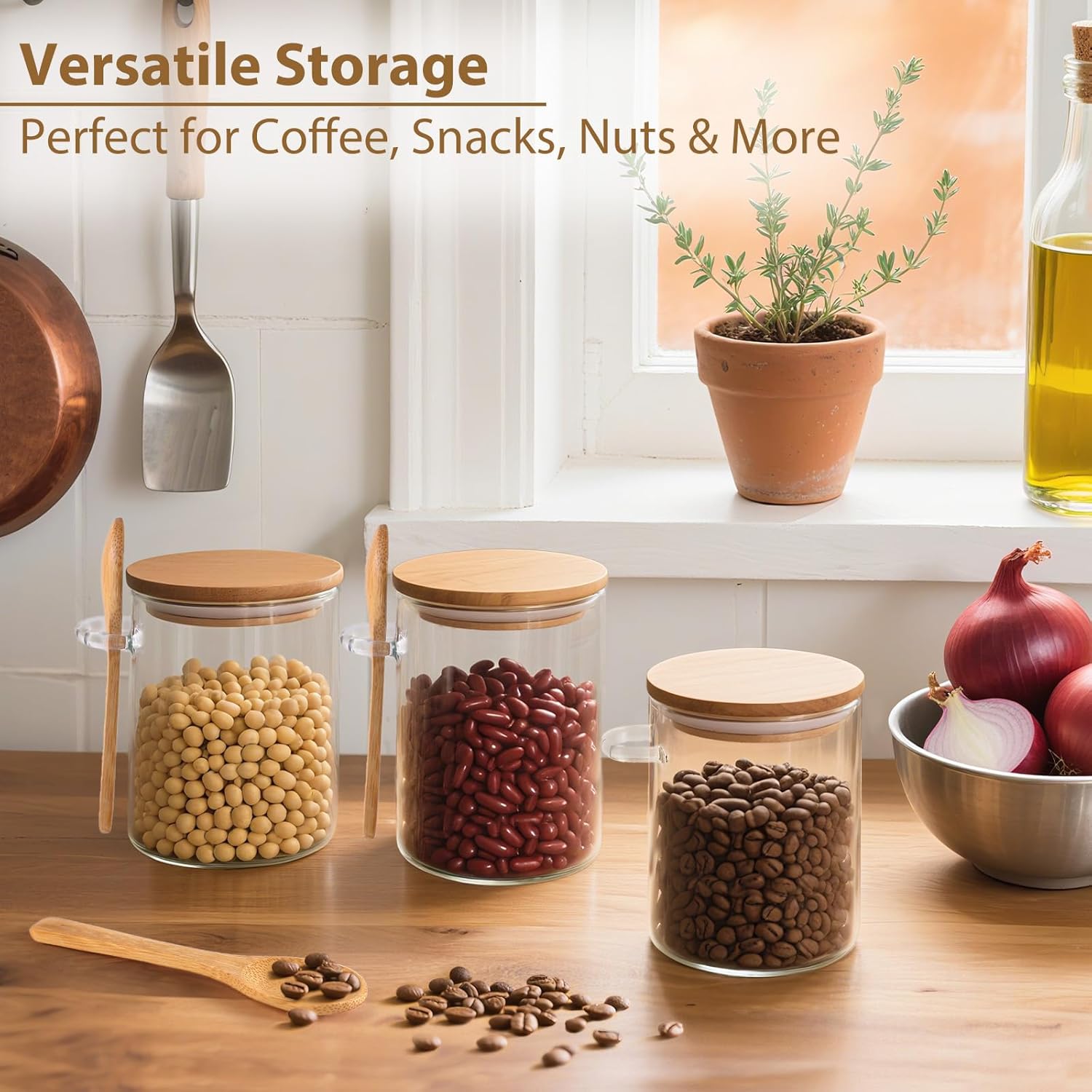 6 Pack Overnight Oats Containe - Meal Prep Jars With Lids review and price