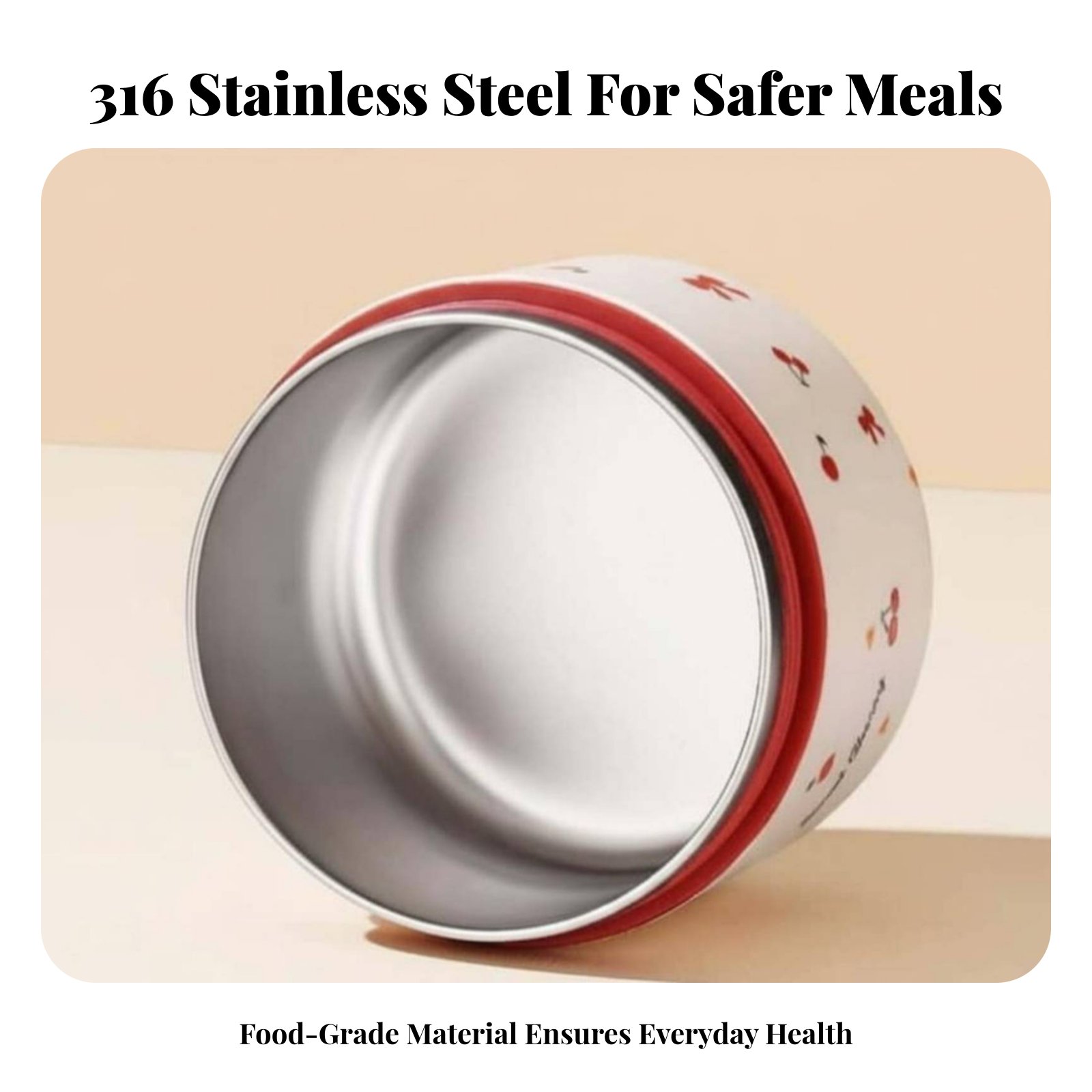 316 Stainless Steel Double-Tie - Stainless Bento Box review and price