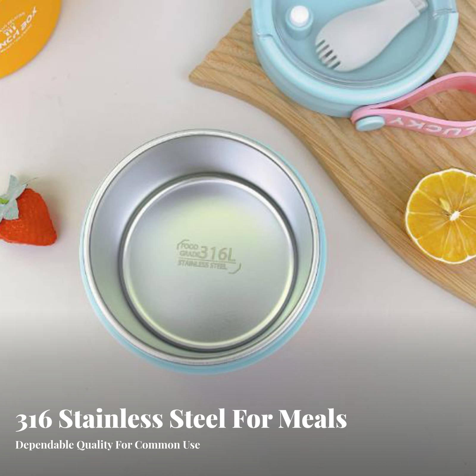 Portable Stainless Steel Lunch - Stainless Bento Box review and price