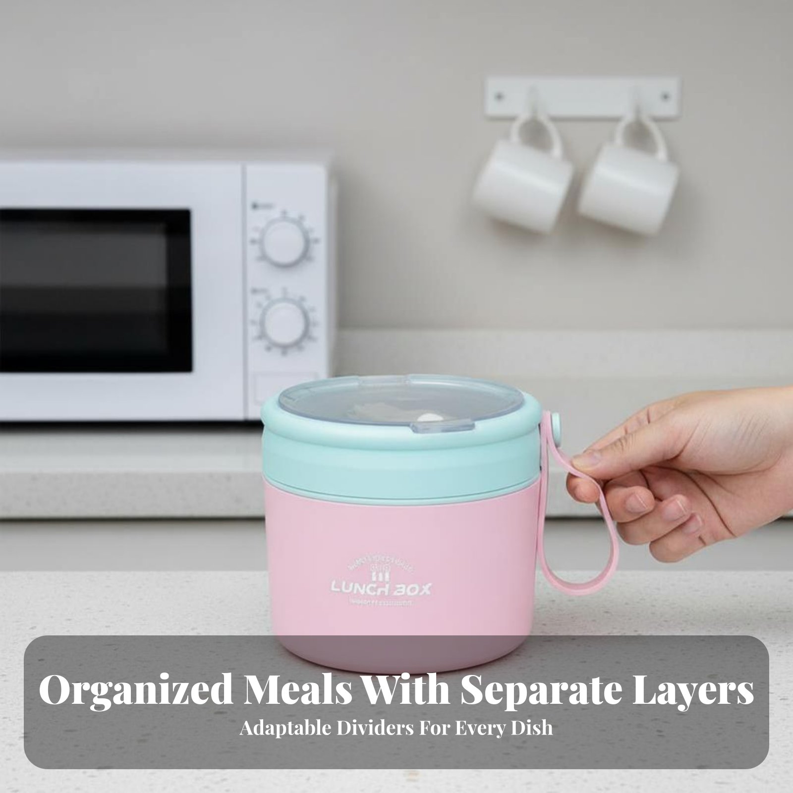 Portable Stainless Steel Lunch - Stainless Bento Box review and price