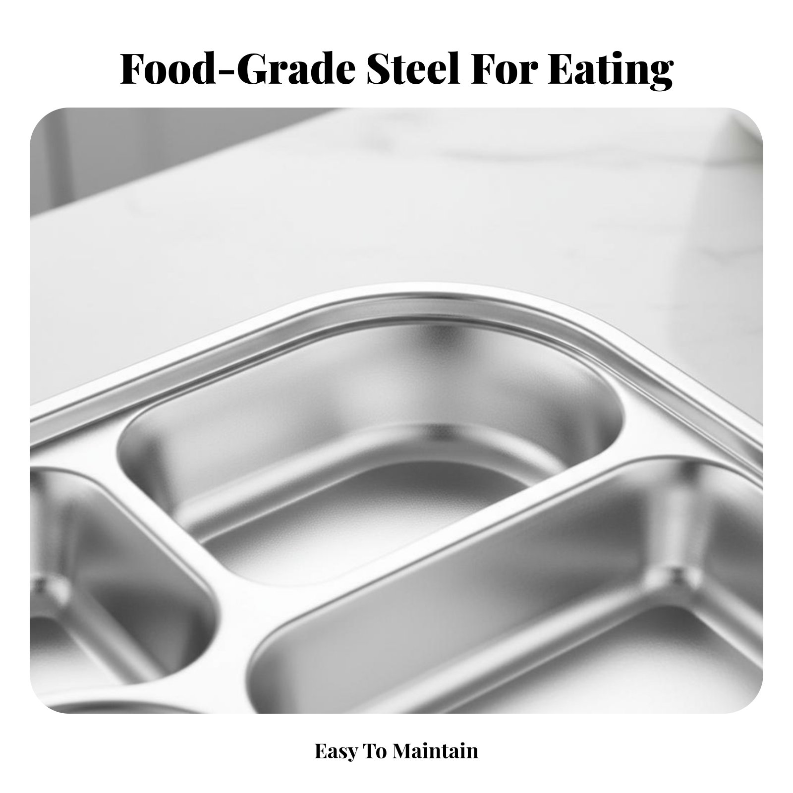 316 Stainless Steel Lunch Box, - Stainless Bento Box review and price