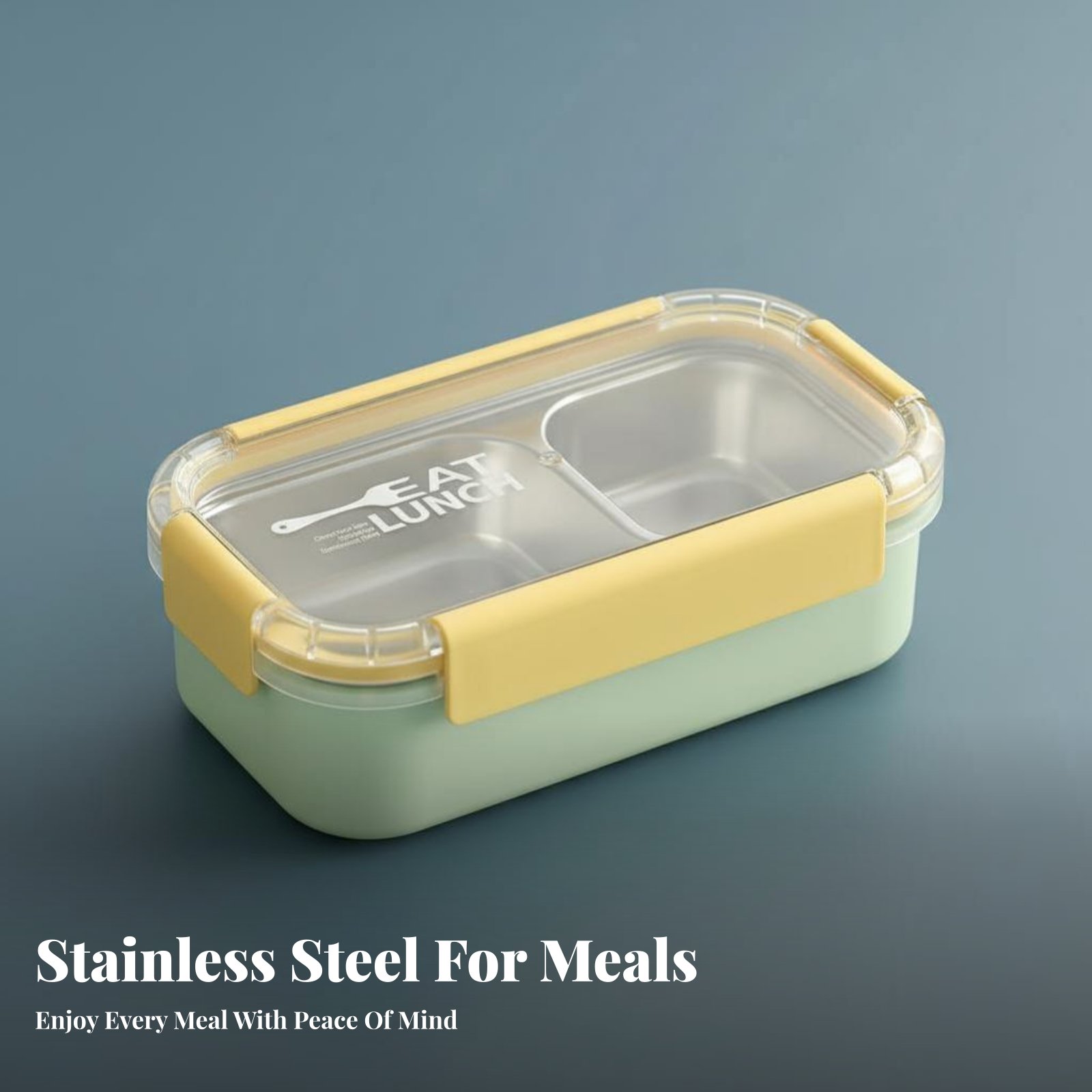 Portable Compartment Lunch Box - Stainless Bento Box review and price